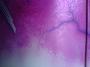dsc00509.jpg