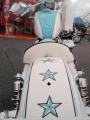 airbrush-sportster-9.jpg