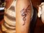 tattoo-drak.jpg